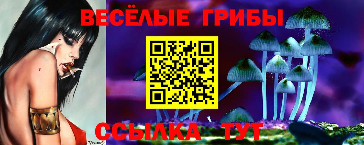Псилоцибиновые грибы Cubensis Новоалександровск